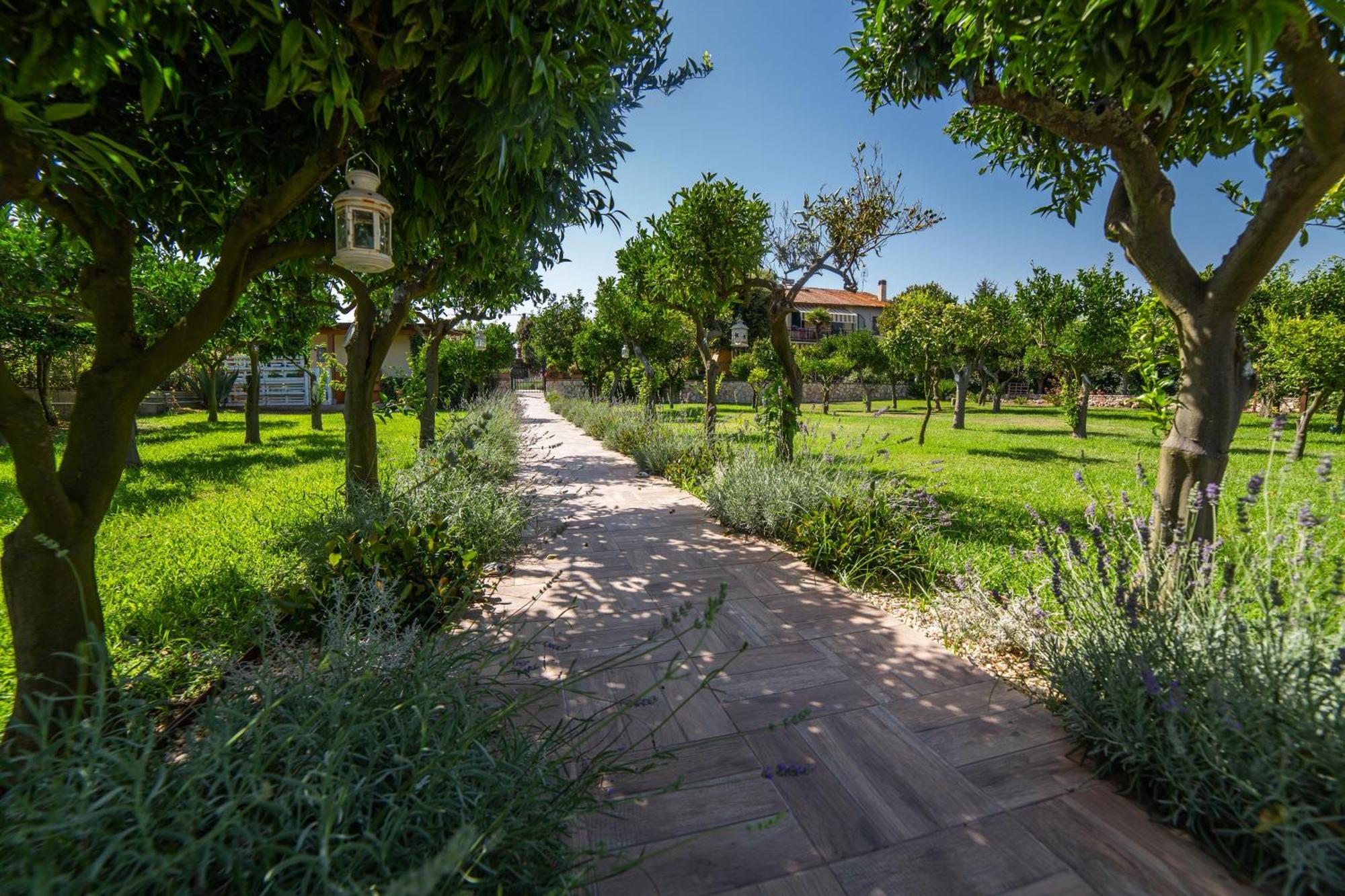 I Lecci Guesthouse San Felice Circeo Kültér fotó
